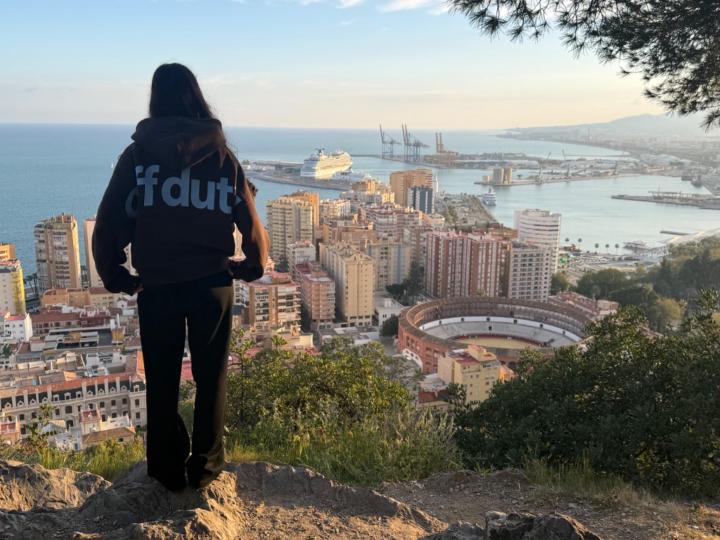 Ayana Psn