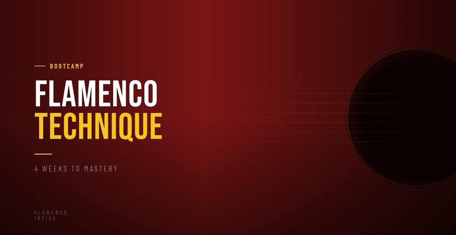 Flamenco Guitar Techniques