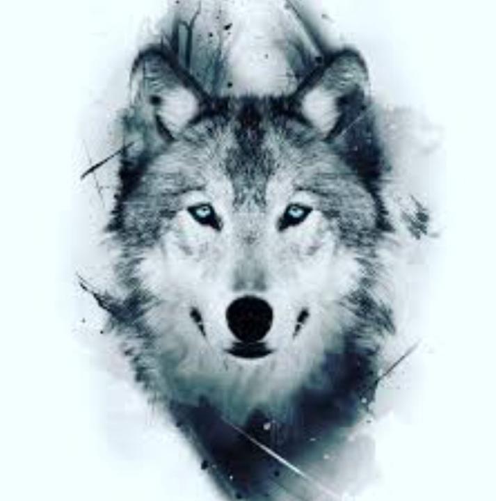 Martín Navarro tomás