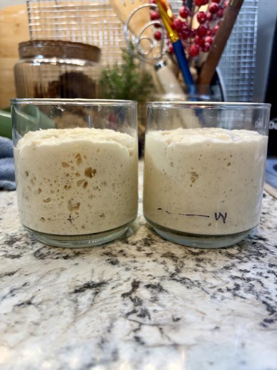 When Your Scale Dies at Midnight: A Stiff Starter Experiment