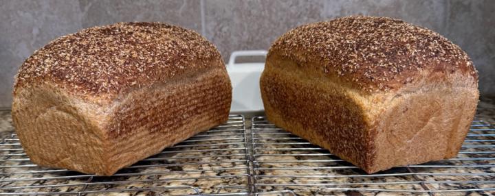 Heart of the Wheat Pan Loaves