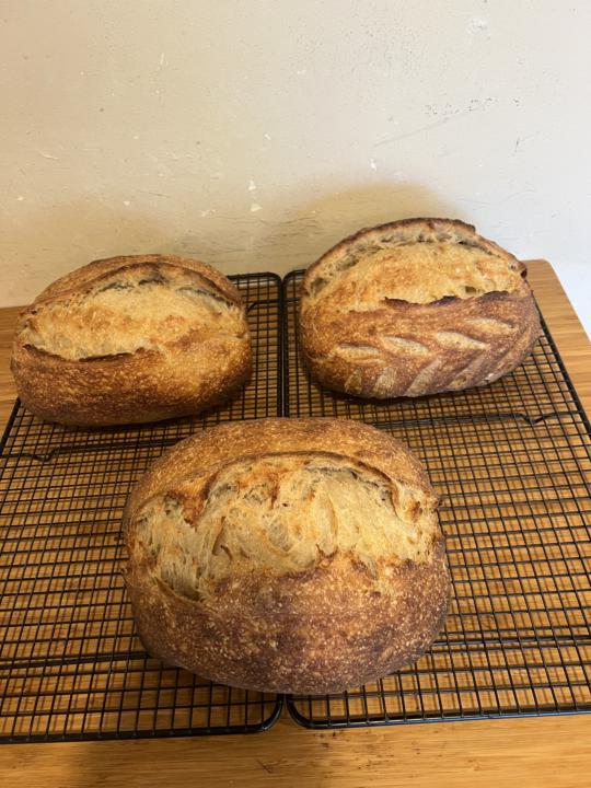 I’m still fascinated by the Tartine Country loaf…