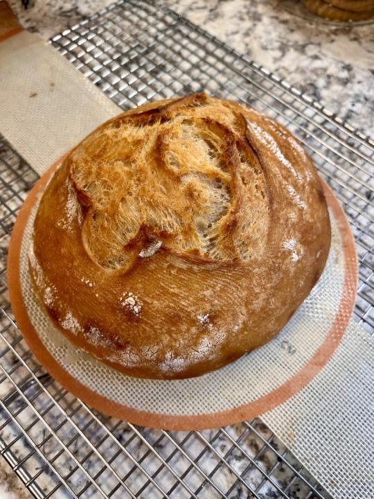 Everything that could go wrong, did.