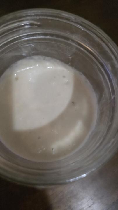 New  sourdough starter 