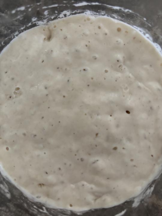 Sourdough Market Day White