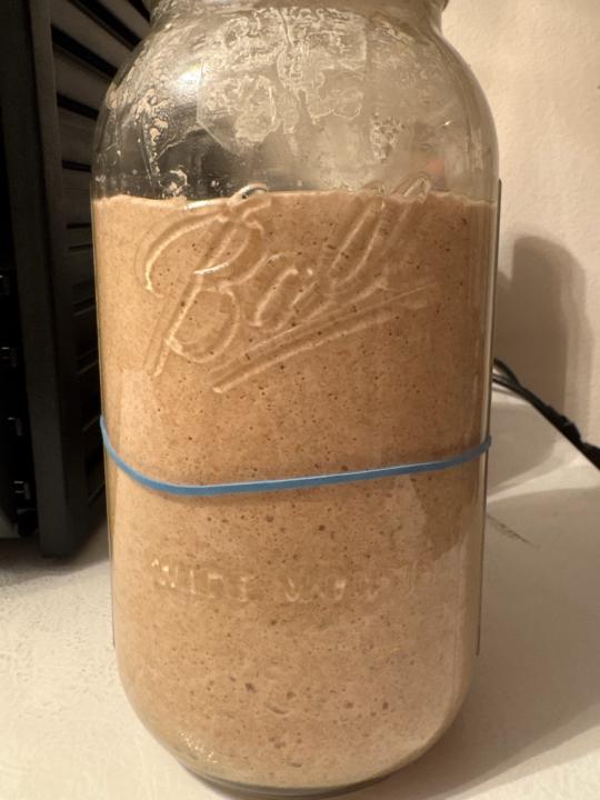 Sandwich bread