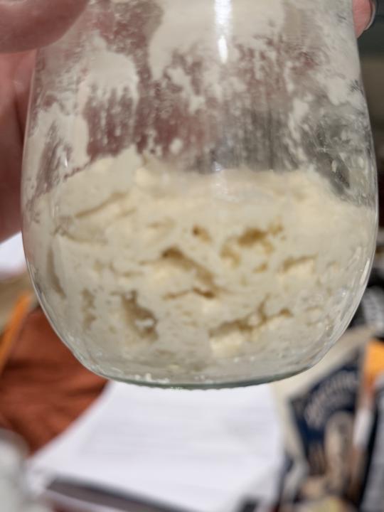 Gluten Free Sourdough Starter
