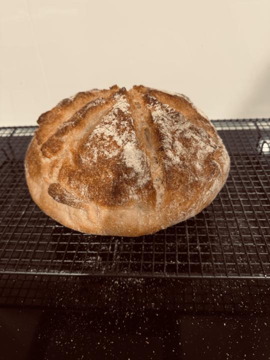 Sourdough no poppyseed bake 