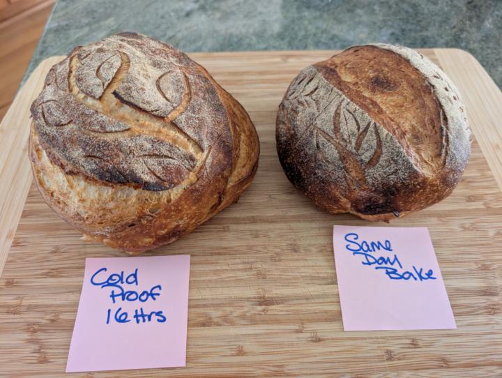 Market Day White Sourdough with Crumb