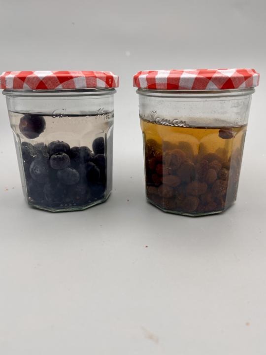 Day 6 update on my yeast water experiment.