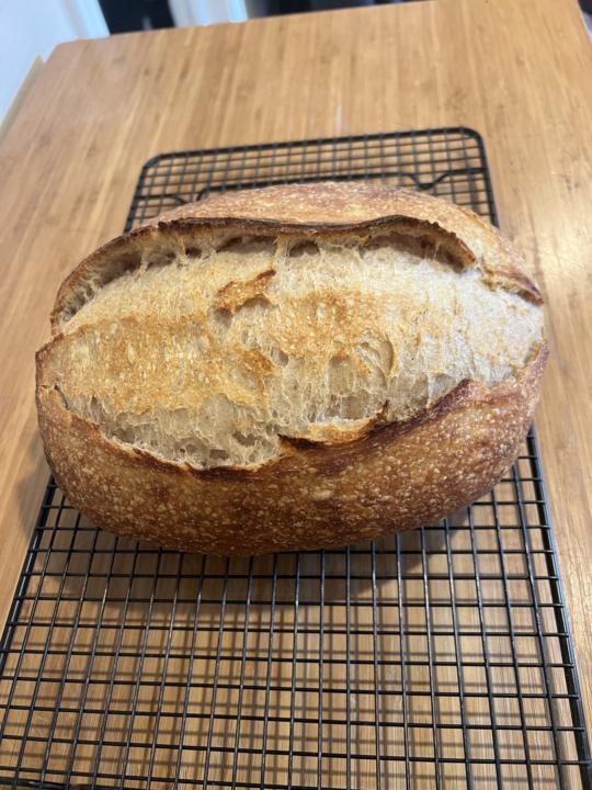 My endless pursuit of the Perfect Loaf…