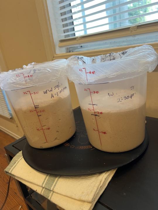 Today’s experiment… 50% King Arthur whole wheat sourdough bread. 