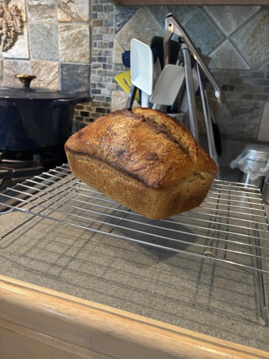 Seeded Rye Pan Loaf