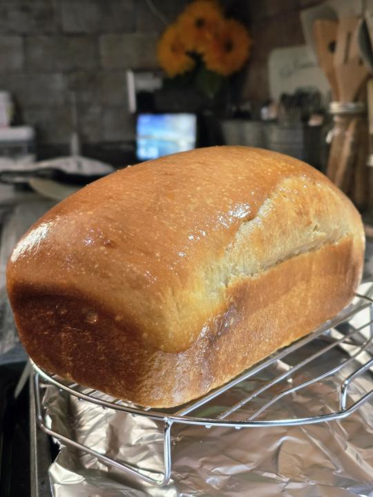 Tangzhong sourdough sandwich bread
