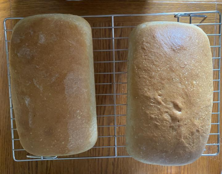 Sprouted spelt addition