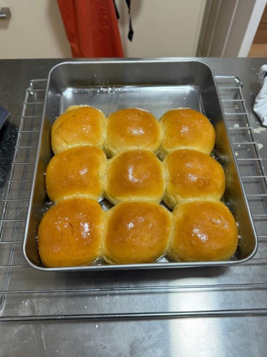 Tangzhong Dinner rolls. 