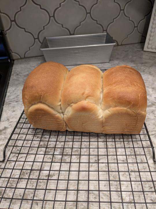 Japanese Milk Bread 