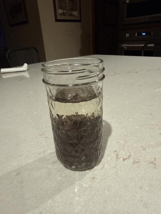 Fruit water Day#1