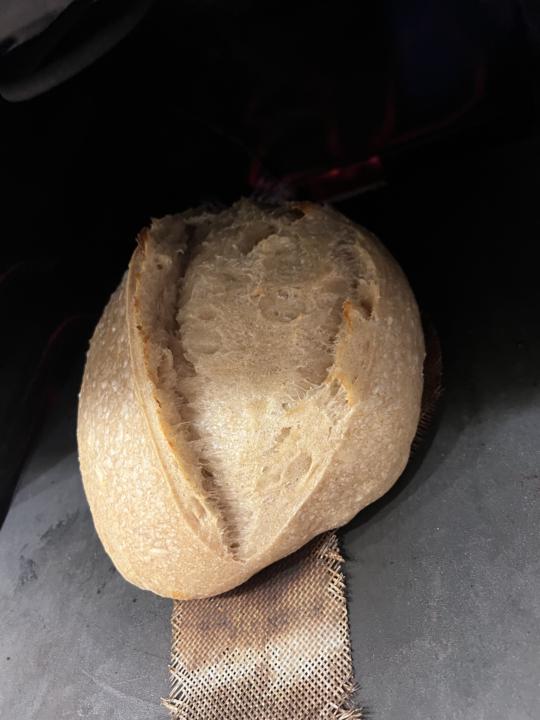 On my way to my Sourdough Anonymous meeting… I noticed some new loaves on the cooling rack.🫣
