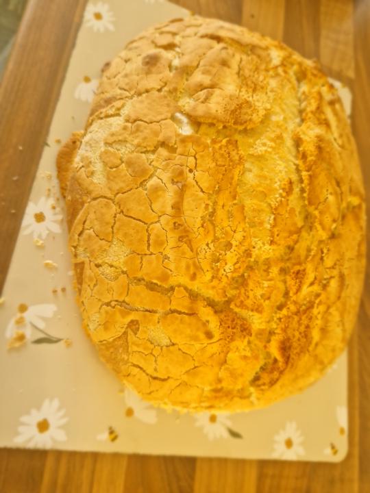 Tiger bloomer 