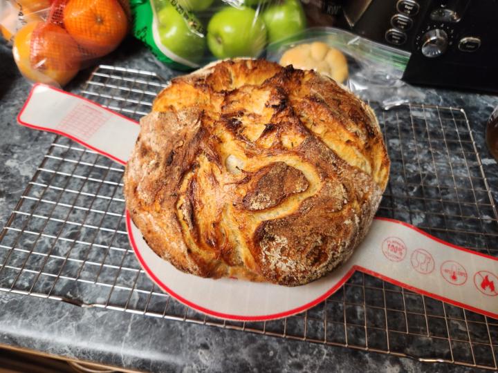Rosemary Garlic Parmesean Results and Sourdough Discard Noodles