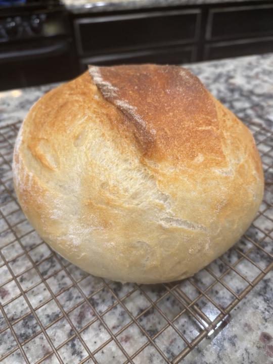  Inspired by Dave Palmers video and lesson in yeast bread 