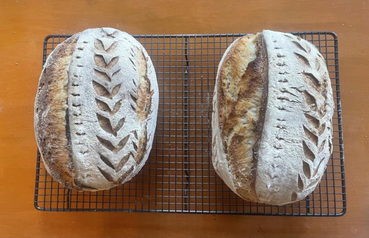 Sourdough Market Day White