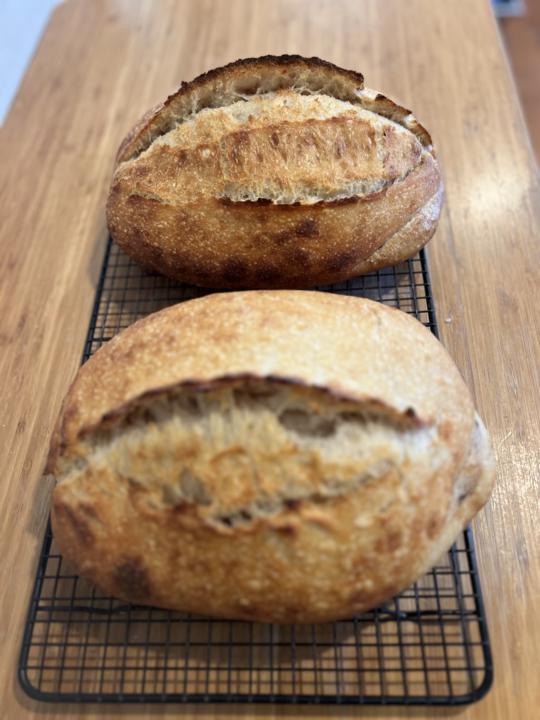 Making excellent artisan sourdough bread with inexpensive flour… 
