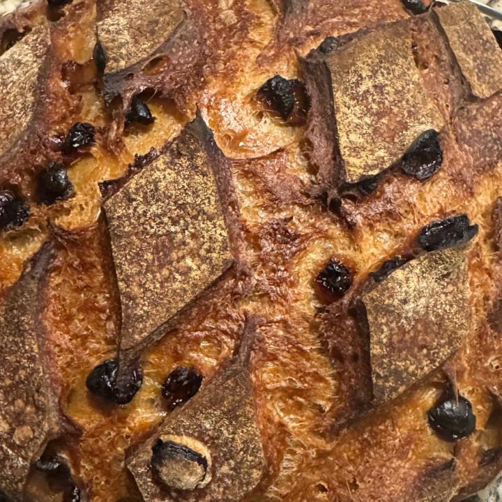 Molasses Rum-Raisin Sourdough Boule