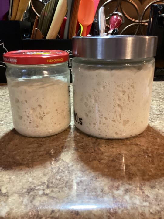Put Your Nose In Your Starter