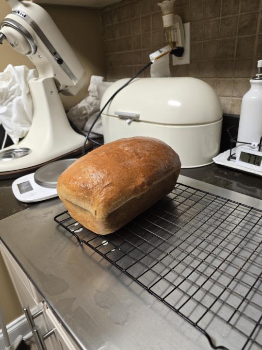 Baking log of the week 😋 