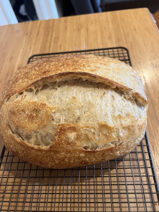 Just another attempt at authentic artisan sourdough bread…
