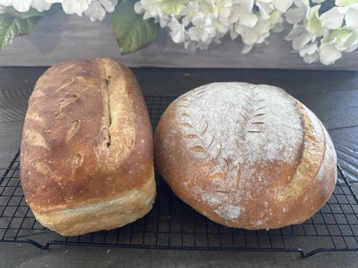 Cloud Dough Sourdough ☁️🍞🪿✨
