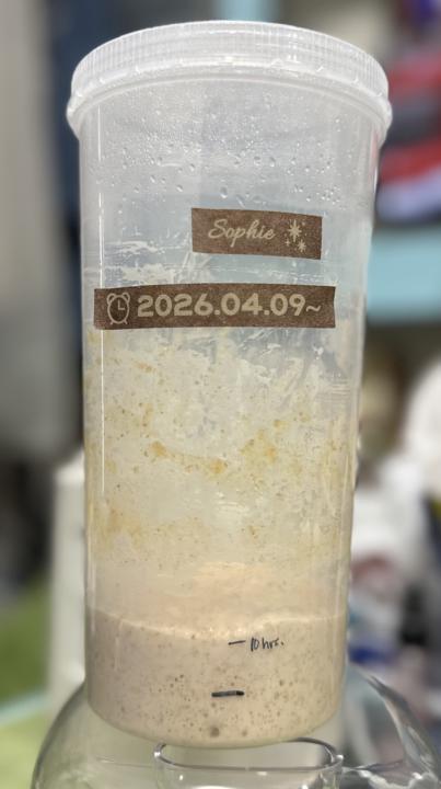 My starter from scratch is active!