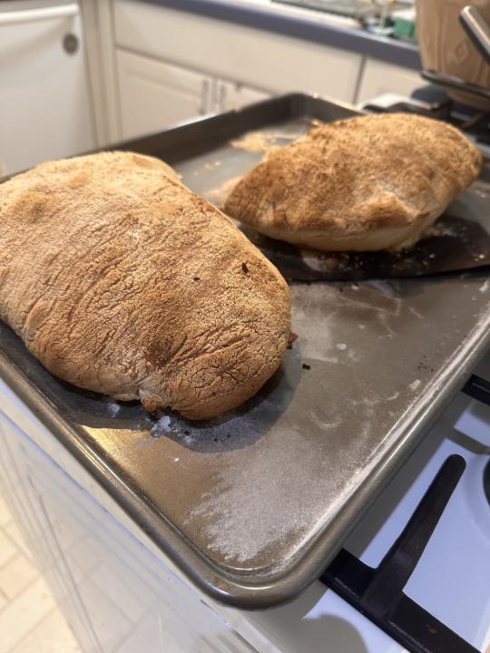 Ciabatta