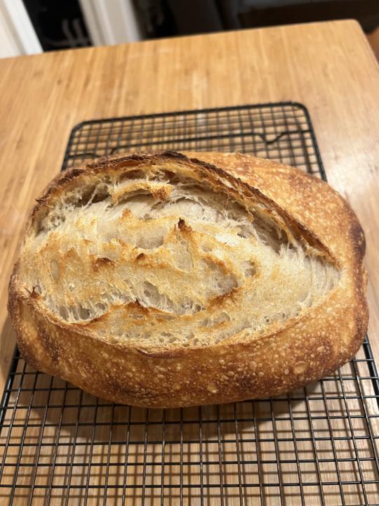 The experiment: same dough, 2 batches, bulk fermented to 40% & 50%