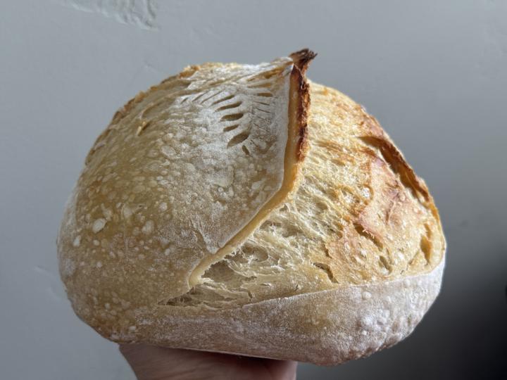Anyone make Sourdough white bread with AP flour?