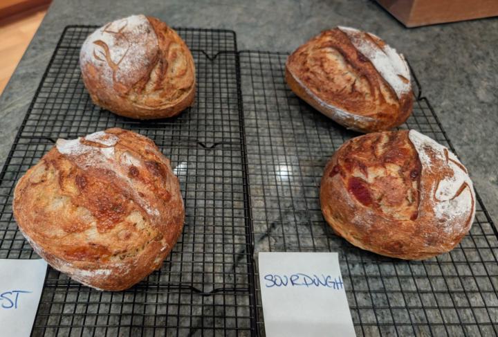Rosemary, Garlic, Parm Yeast vs Sourdough 