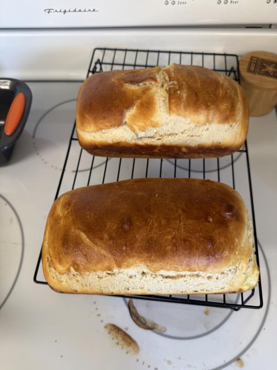 First Bake!