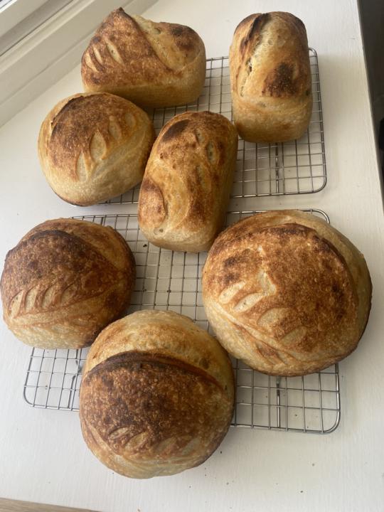 This Weekend’s Bakes
