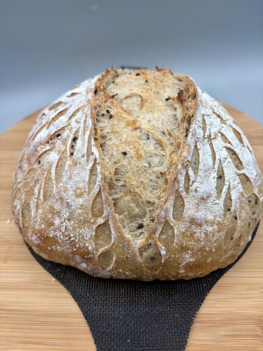 🍞 Remember the Starter Experiment? Here’s What It Baked.