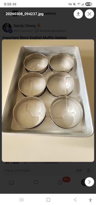 Bim’s Sourdough English Muffins 