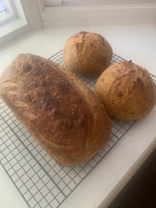 Today’s bakes