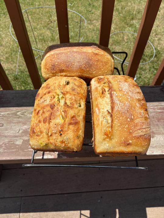 Bread 
