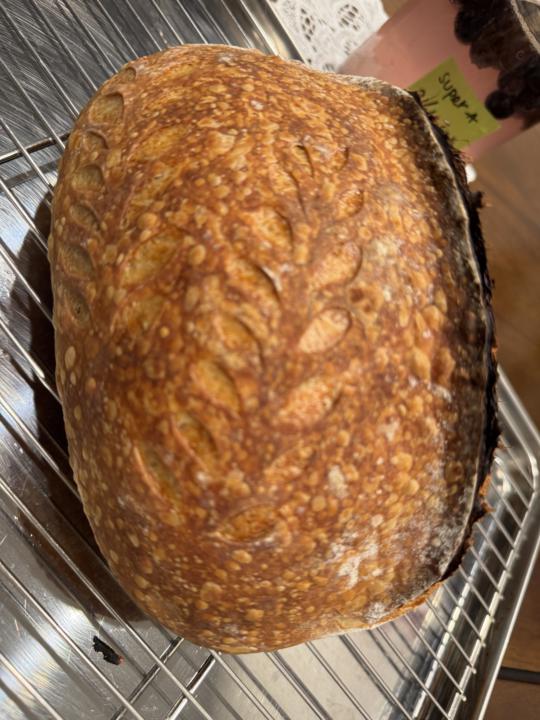 My first yeast water loaf forever 🤭