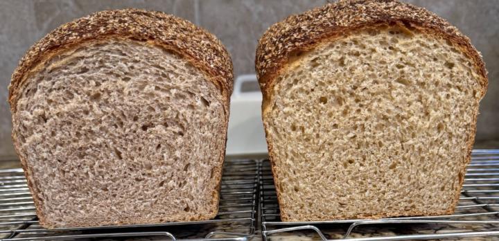 ‘Everyday Bread’  (60% Whole Wheat)