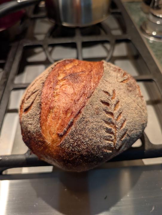 Market Day White Sourdough