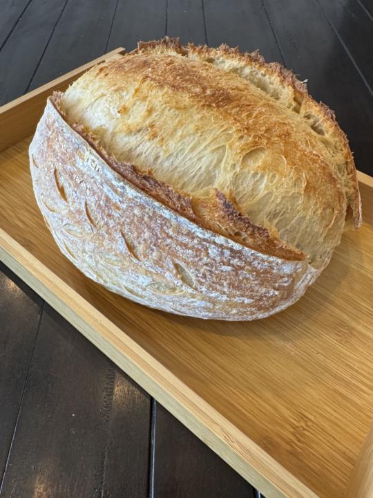 Sourdough Fermentation Question