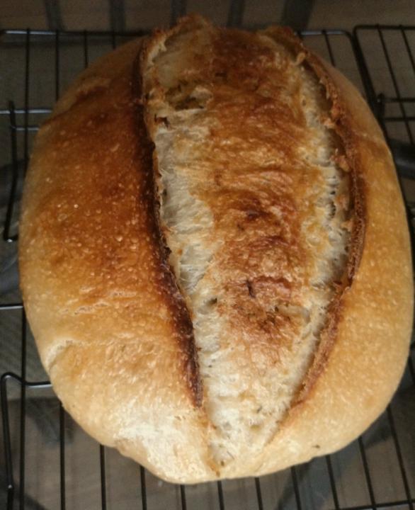 The Crumb Shots Of Experimental Ingredients 