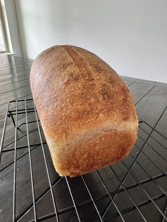 Soft Sourdough Loaf Round 3